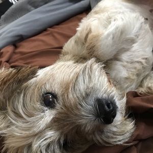 Meet your Posher, Alan